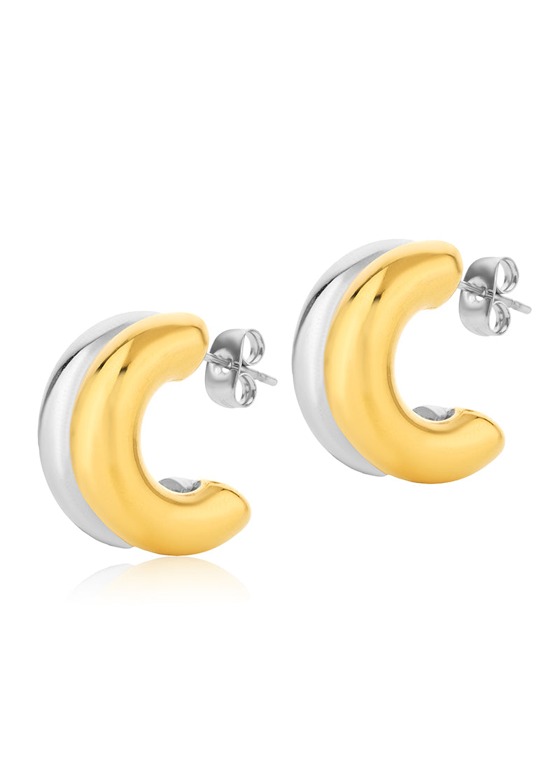 Two Tone Arc Earrings